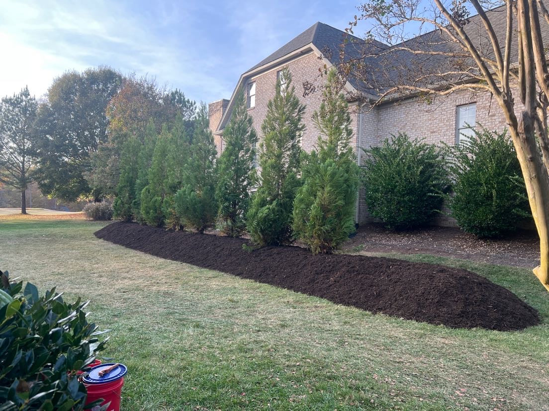 Ball & Burlap Tree Planting