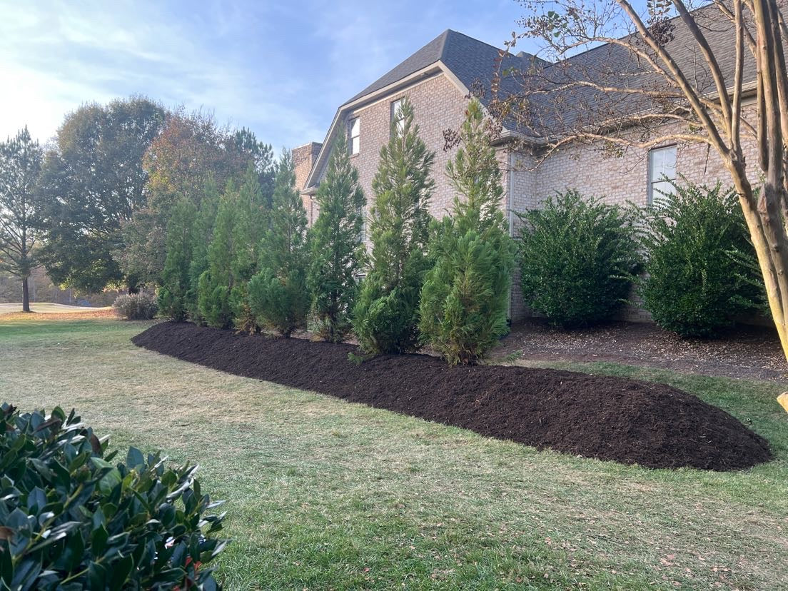 Ball & Burlap Tree Planting